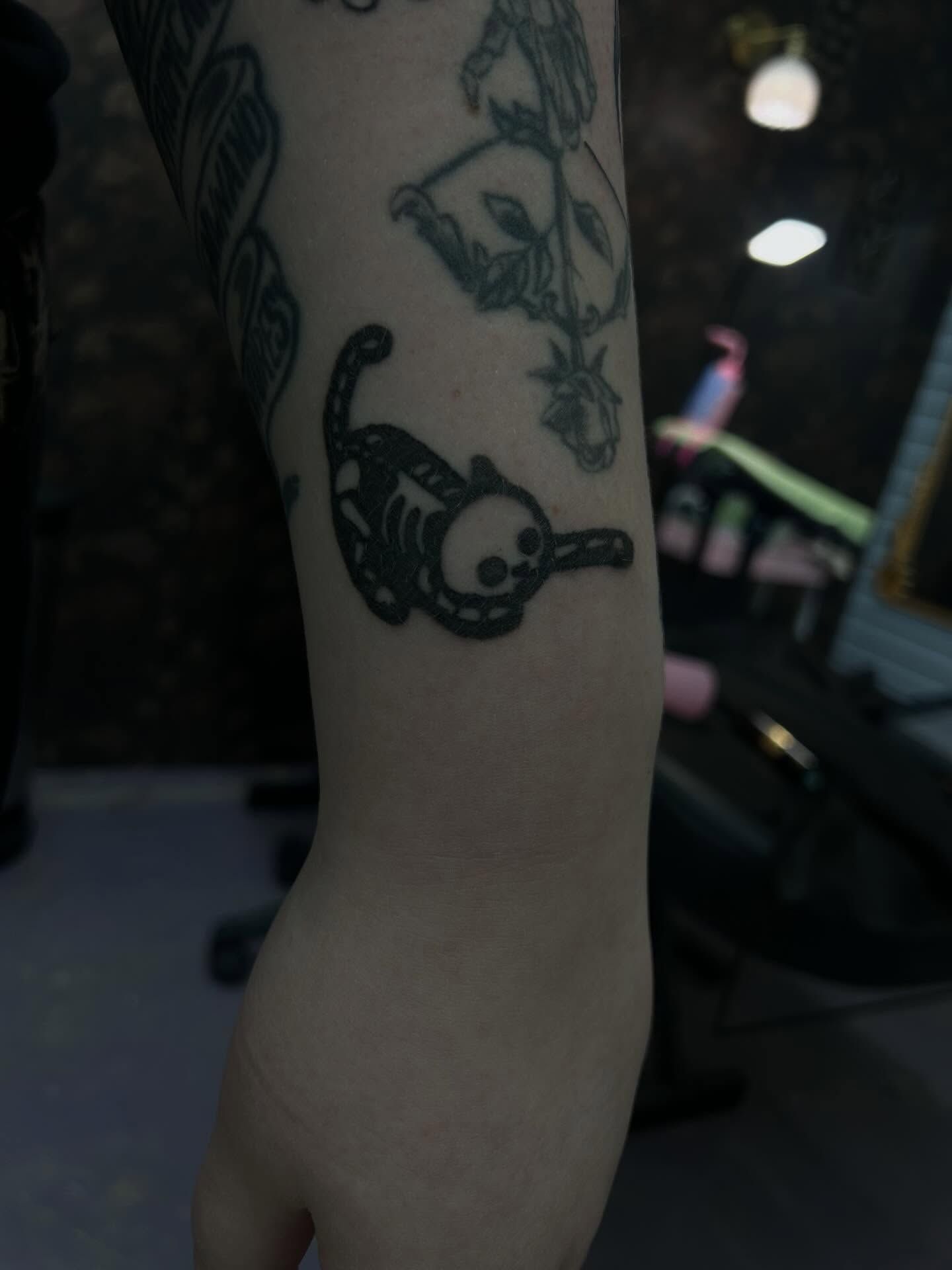 A bold blackwork skeleton cat curled around with a long ringed tail, on a forearm